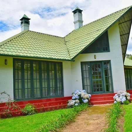 Camp Noel Hotel Munnar Ngoại thất bức ảnh